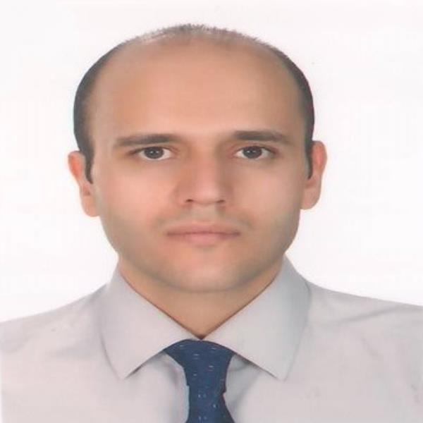مهندس رضا گنجی