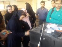 گالری دانشجویان ایفل